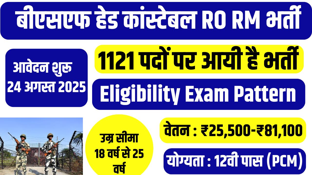BSF HC RO RM New Vacancy 2025