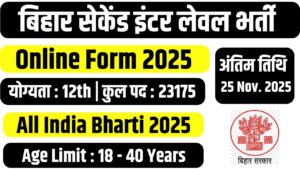 Bihar Second Inter Level Bharti